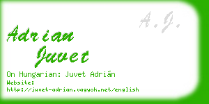 adrian juvet business card